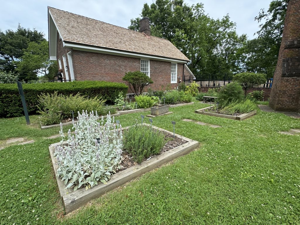 How to Start a Medicinal Herb Garden (Beginner&rsquo;s Guide)