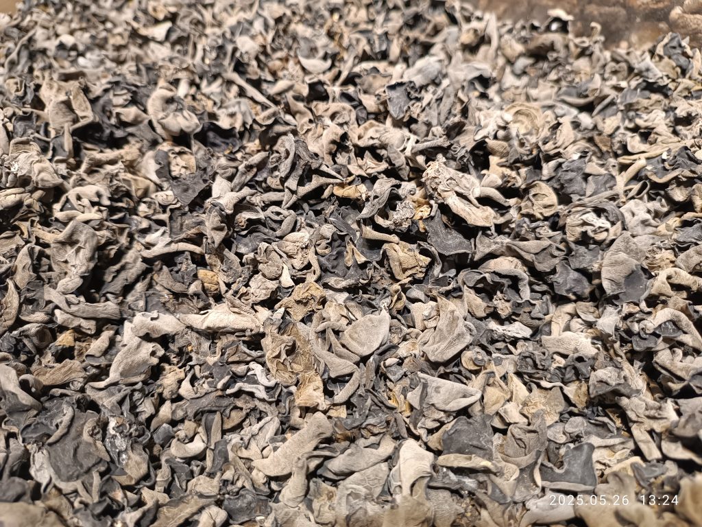 The Lost SuperFoods Review (2026): What to Know Before You Buy