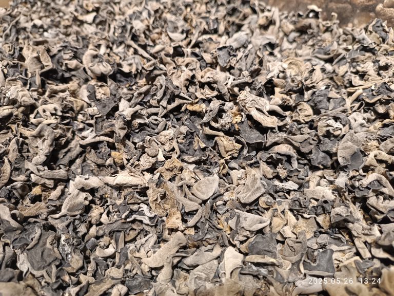 The Lost SuperFoods Review (2026): What to Know Before You Buy