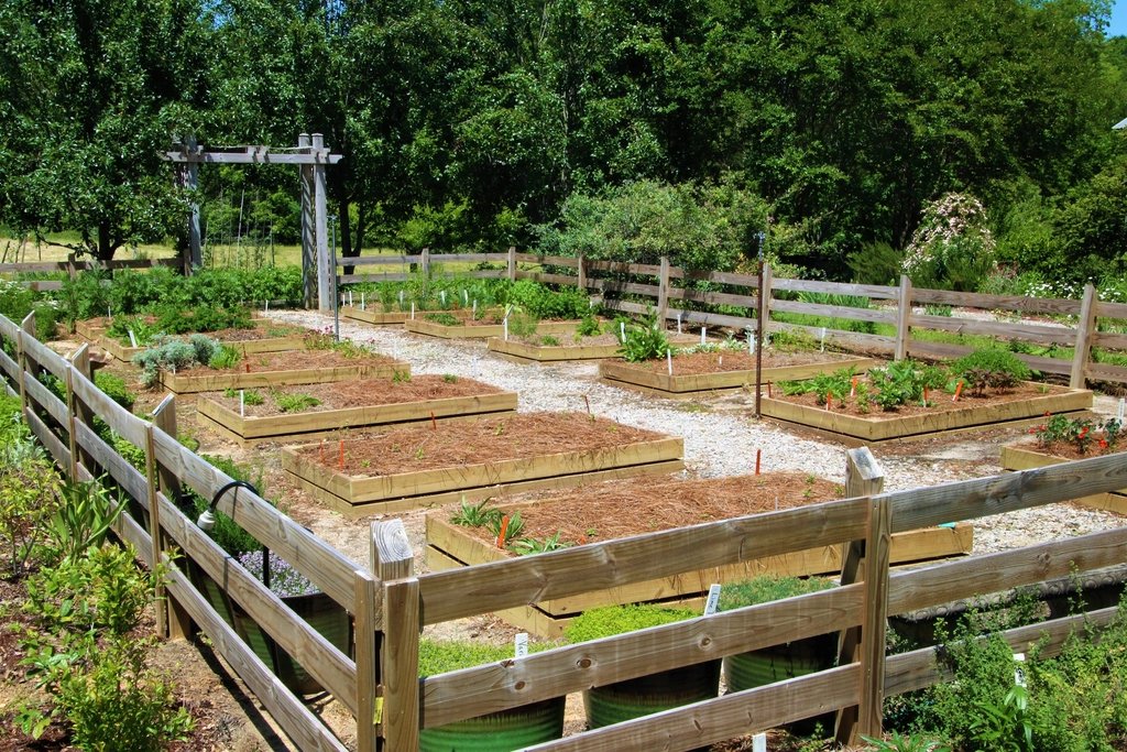 The Self-Sufficient Backyard Review (2026): What to Know Before You Buy